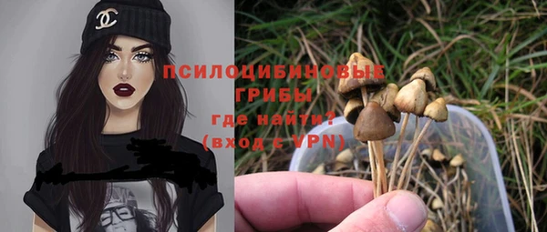 2c-b Лабытнанги