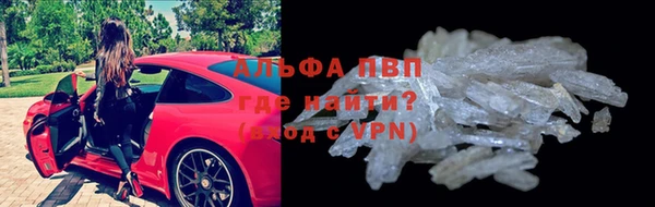 дмт Ладушкин