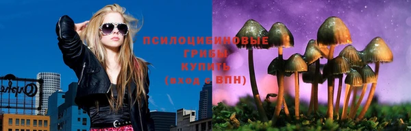 2c-b Лабытнанги