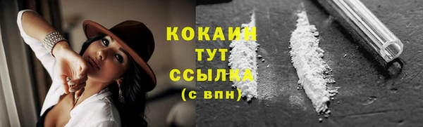 дмт Ладушкин