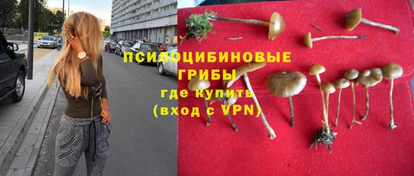дмт Ладушкин