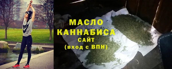 дмт Ладушкин